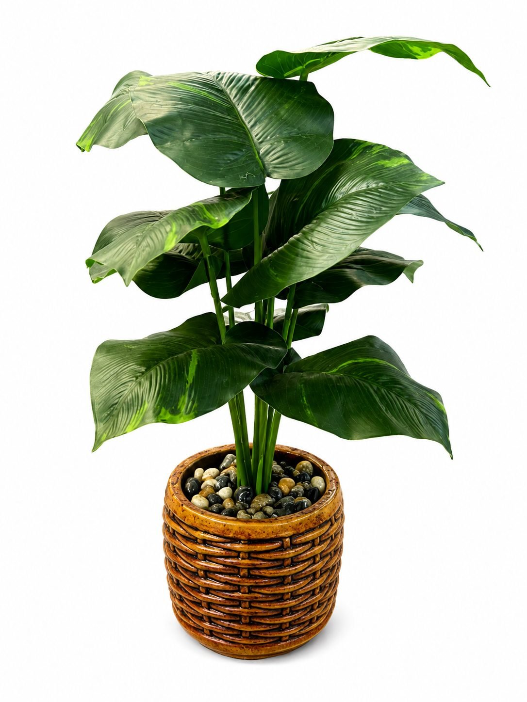 Artificial Broad-Leaf Plant with Decorative Pot