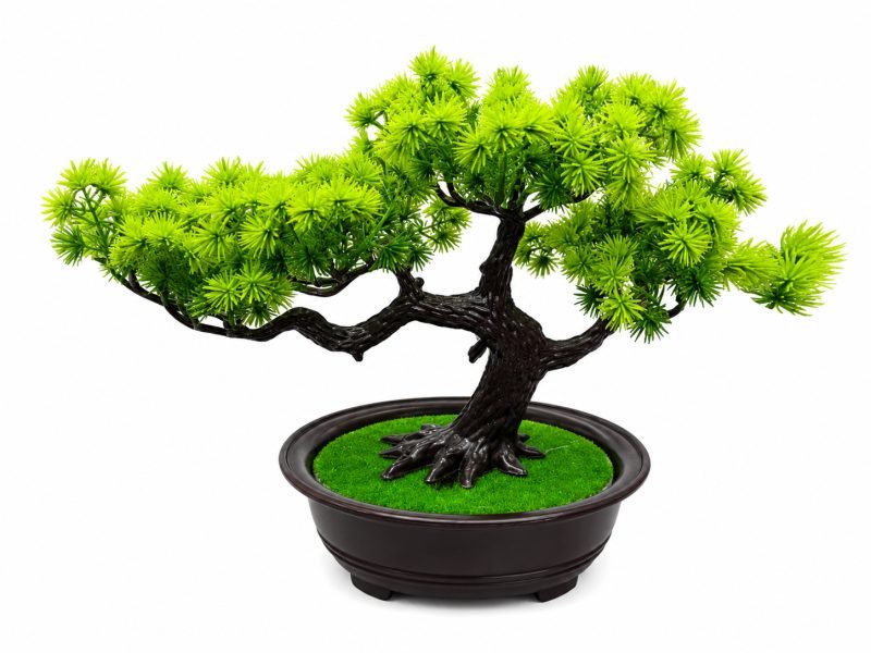 Artificial Bonsai Tree – Moss Base Design